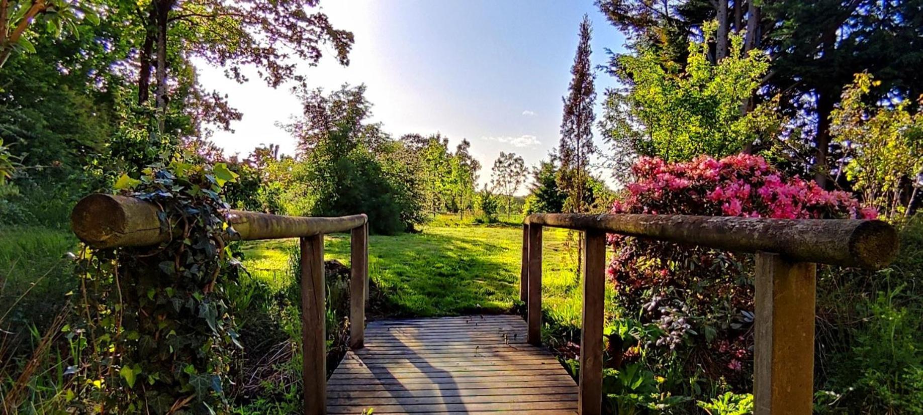 Chambre D'Hote En Gite - Moulin De La Houssaie - Broceliande Guer Eksteriør billede