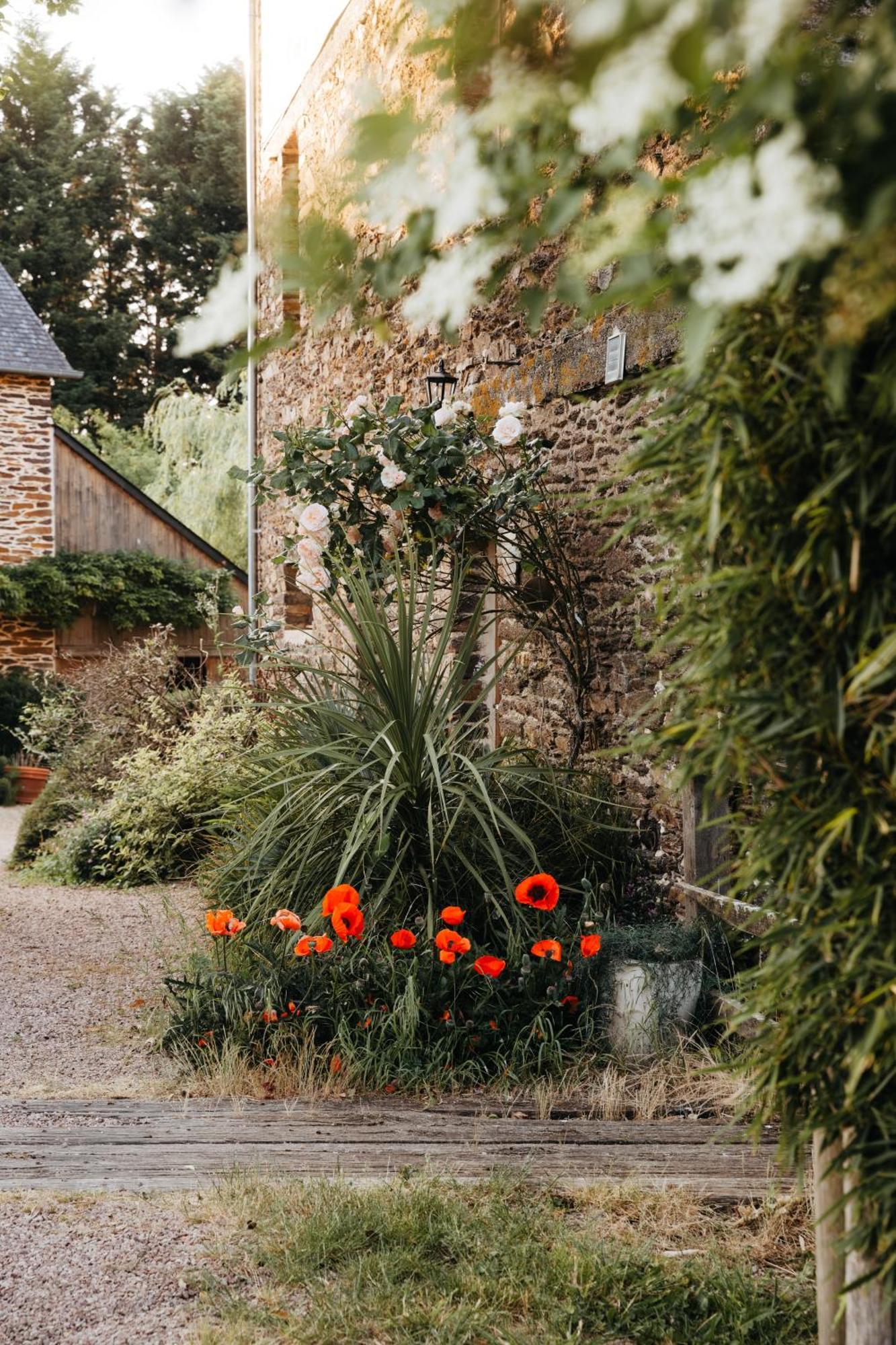 Chambre D'Hote En Gite - Moulin De La Houssaie - Broceliande Guer Eksteriør billede