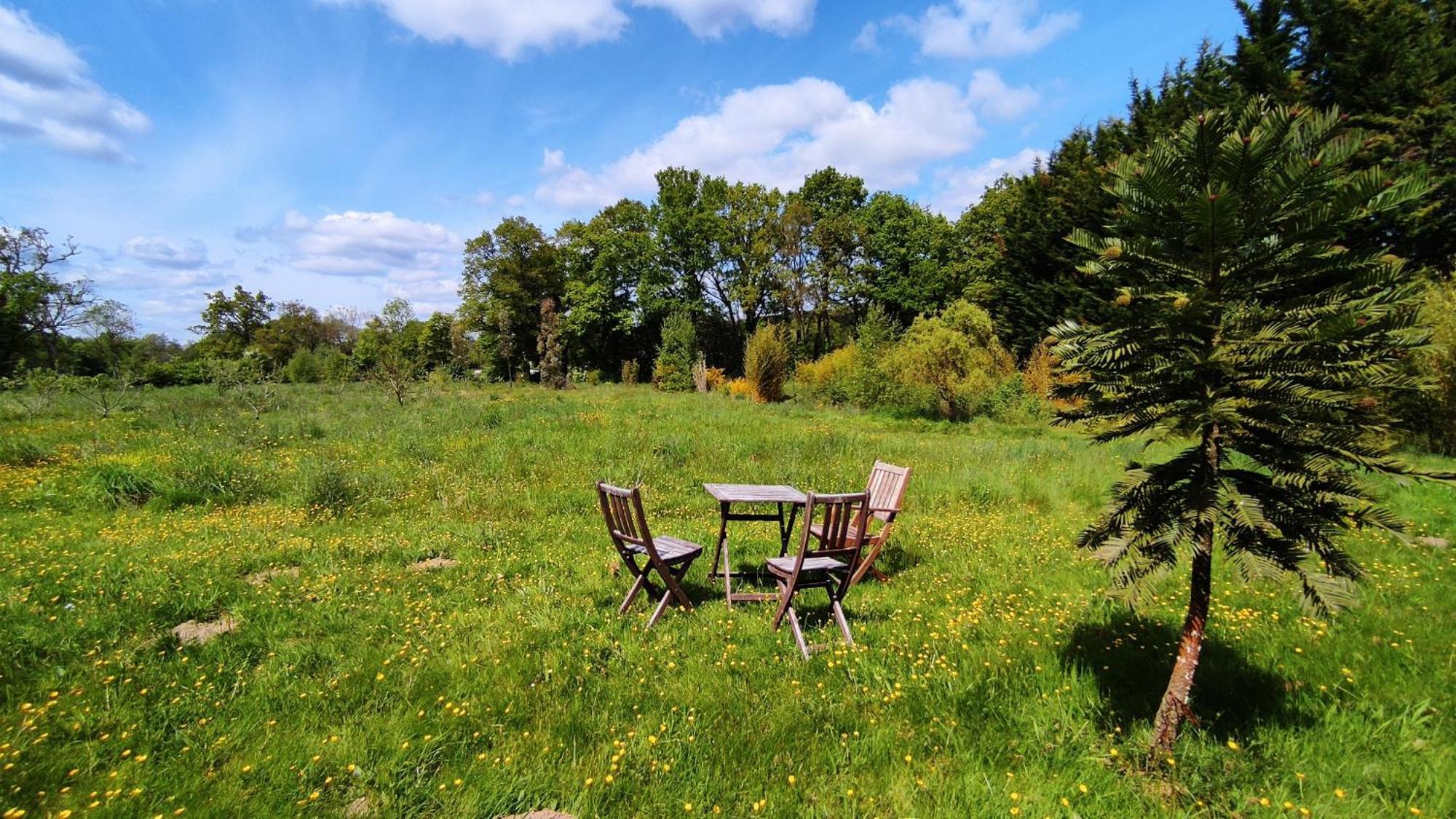Chambre D'Hote En Gite - Moulin De La Houssaie - Broceliande Guer Eksteriør billede