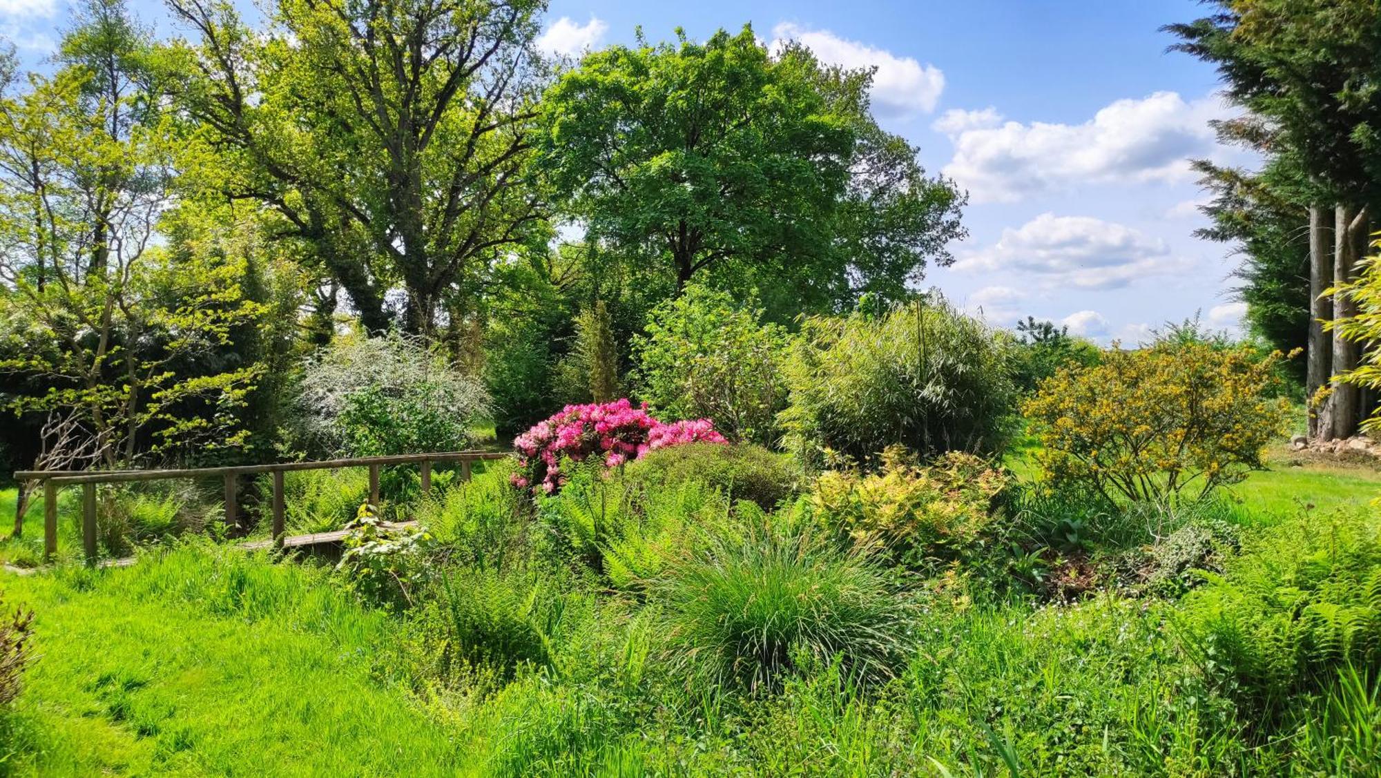 Chambre D'Hote En Gite - Moulin De La Houssaie - Broceliande Guer Eksteriør billede